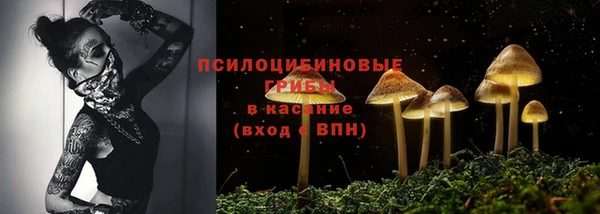 эйфоретик Коряжма