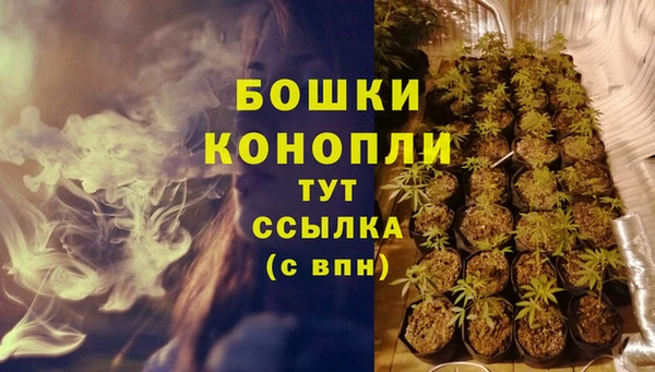 эйфоретик Коряжма
