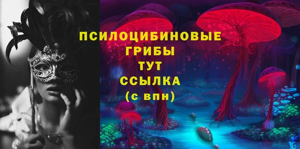 Альфа ПВП Корсаков