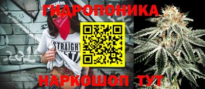 мяу мяу мука Бугуруслан