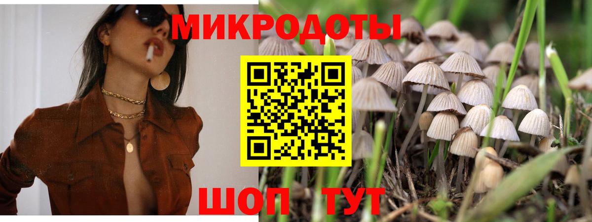 Псилоцибиновые грибы мухоморы  хочу наркоту  Вход с VPN  Керчь  Псилоцибиновые грибы Magic Shrooms 