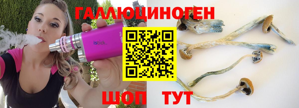 Галлюциногенные грибы прущие грибы Керчь